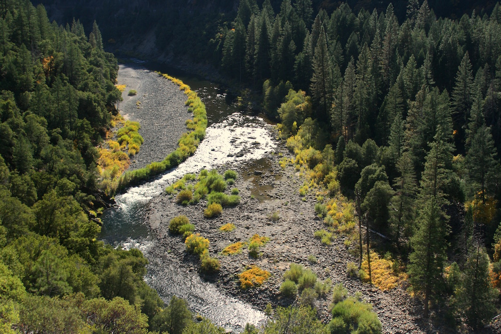 Plumas National Forest