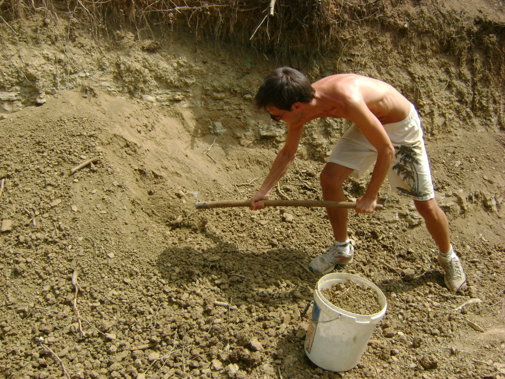 Daniel, volunteer