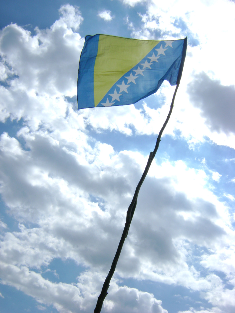 Bosnia and Herzegovina flag