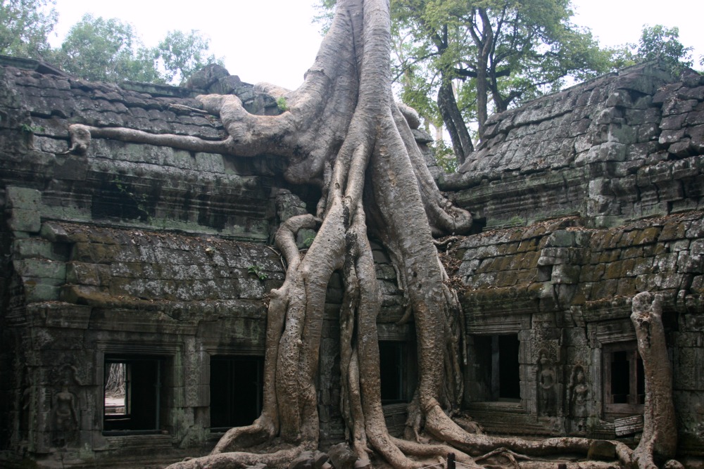 Ta Prohm