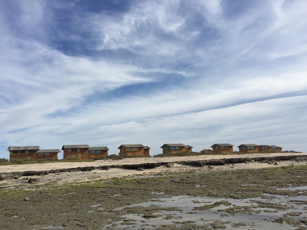 Kuyima camp, Laguna San Ignacio