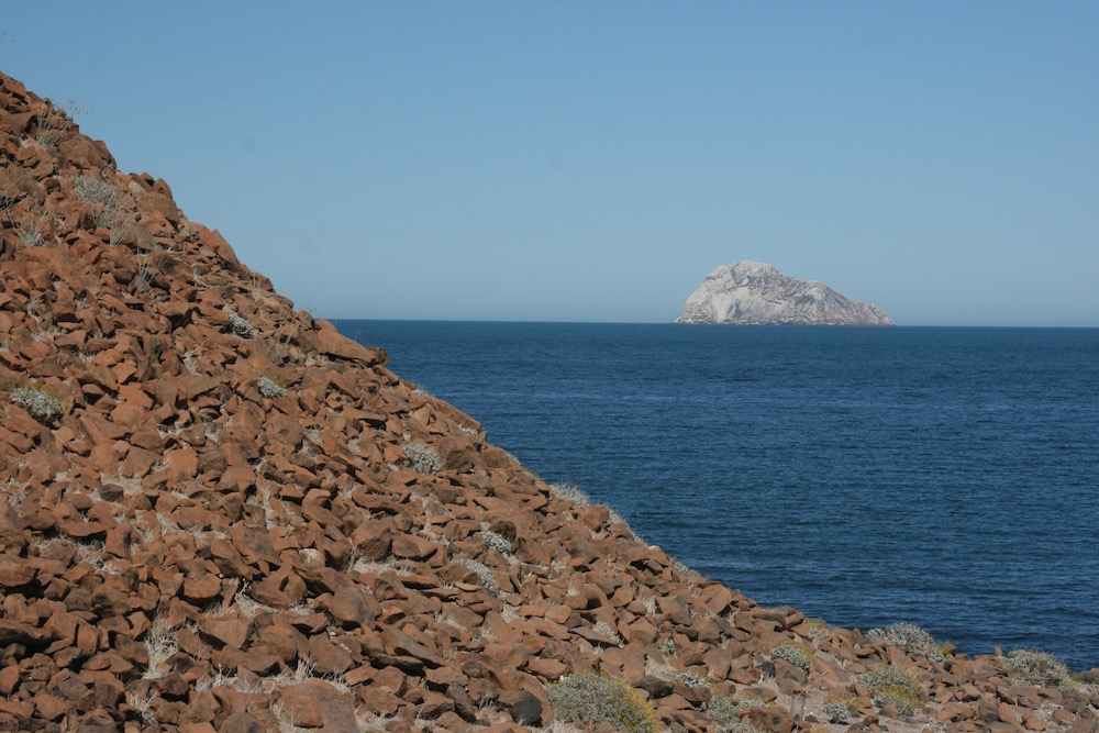 Bahía San Luis Gonzaga