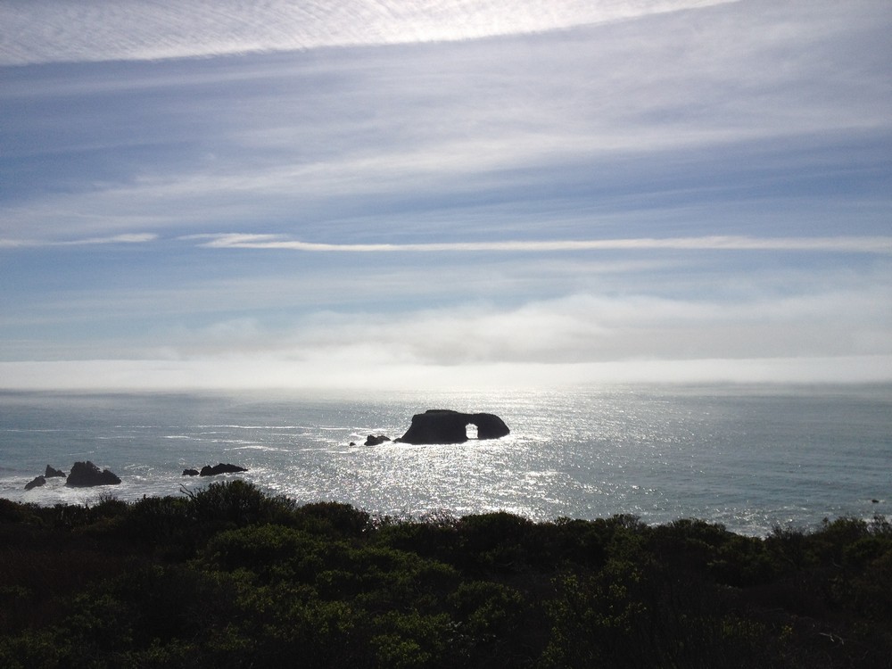 Sonoma Coast State Park