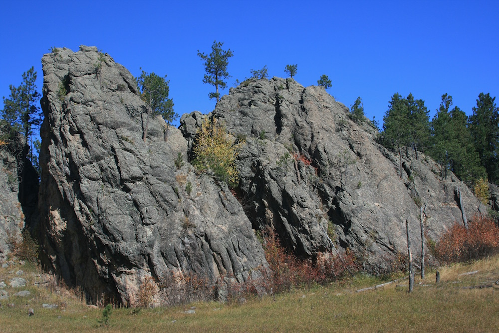 Custer State Park