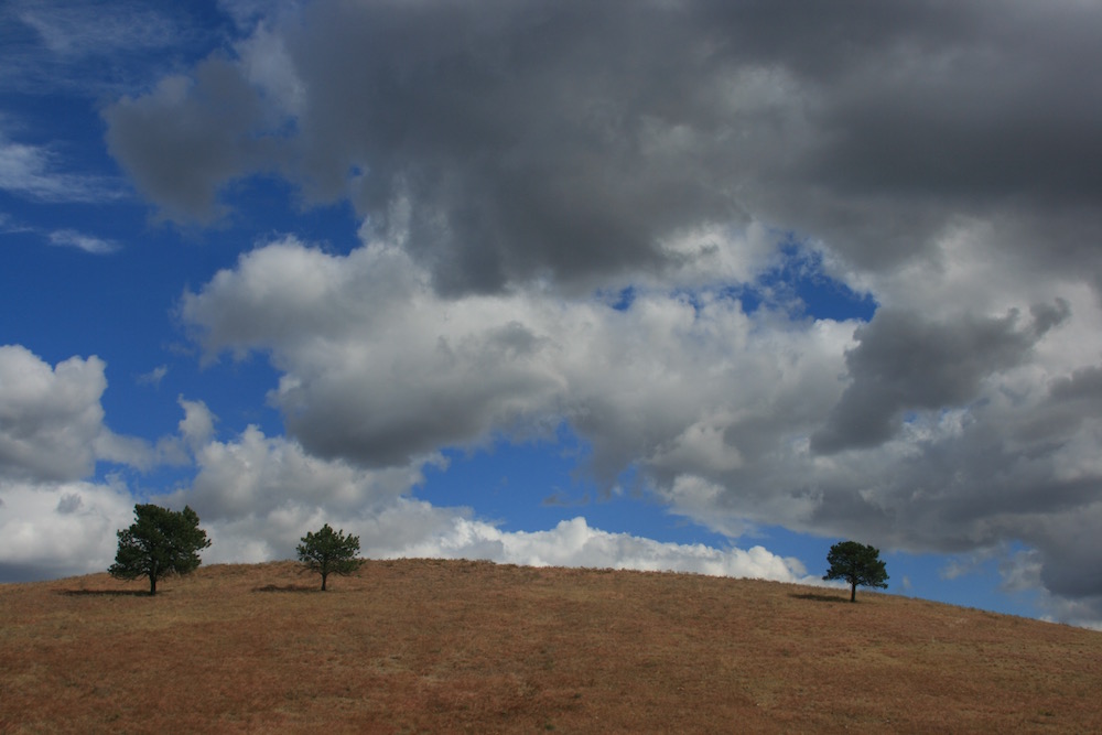 Custer State Park