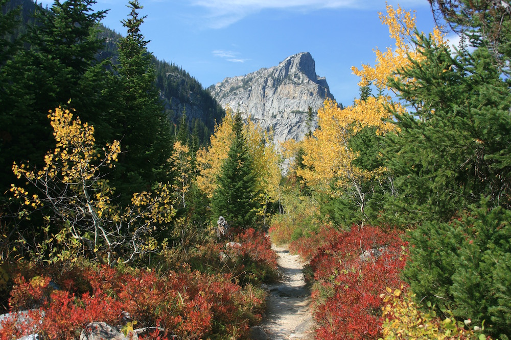 Cascade Canyon