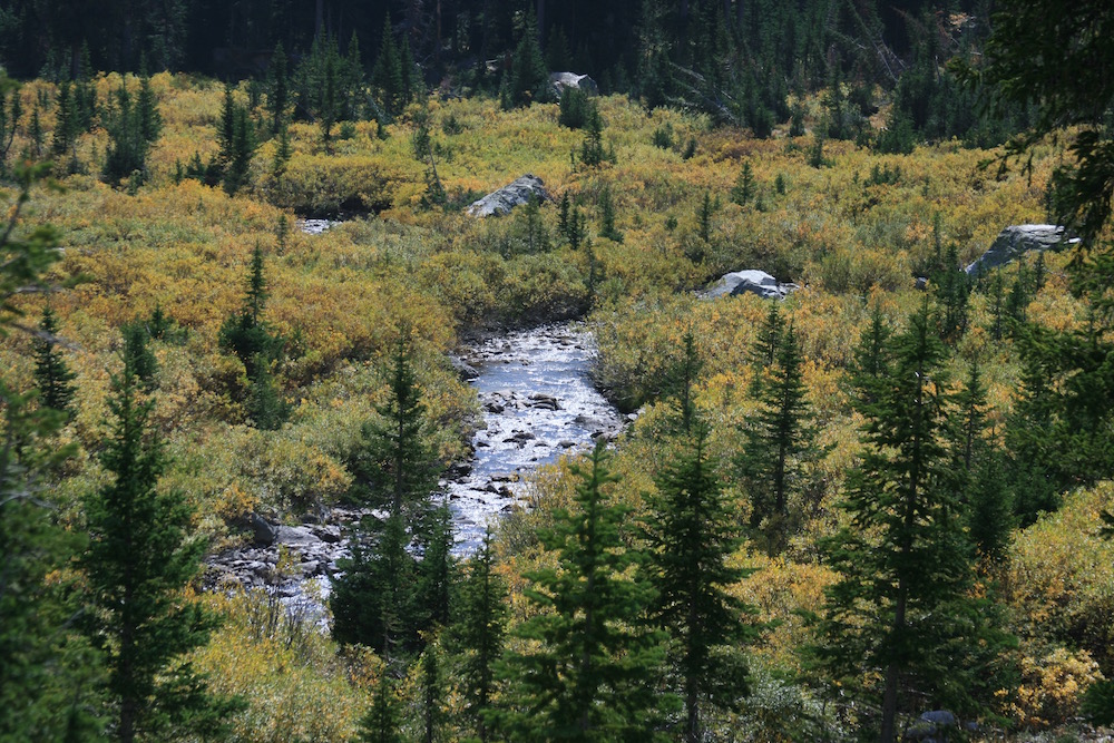 Cascade Canyon