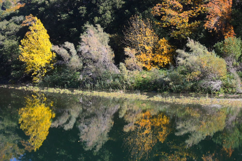 Plumas National Forest