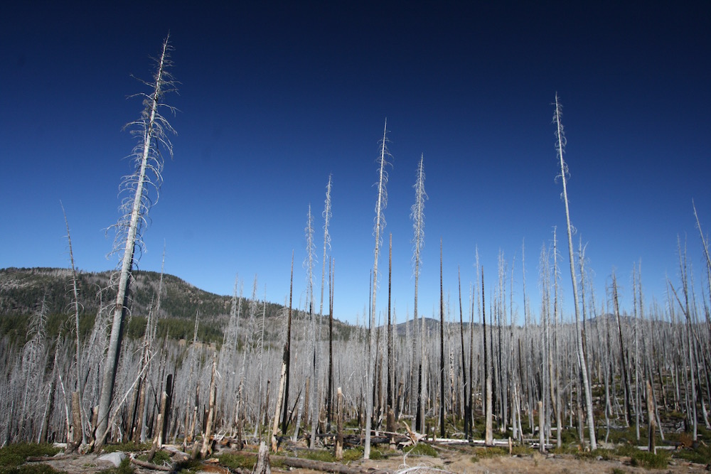 Lassen Volcanic National Park