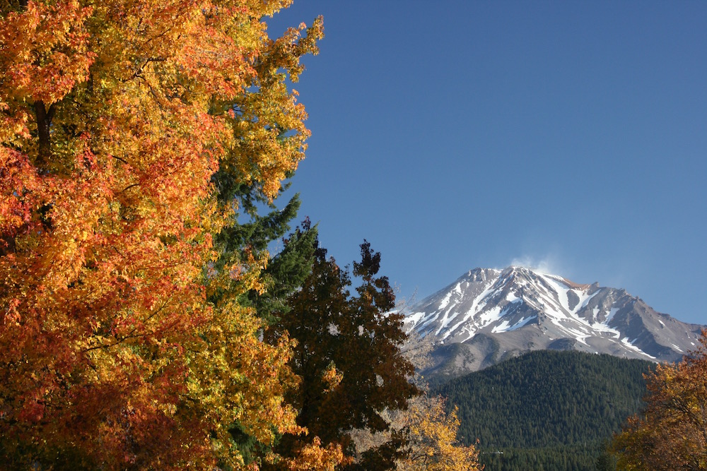 Mt. Shasta