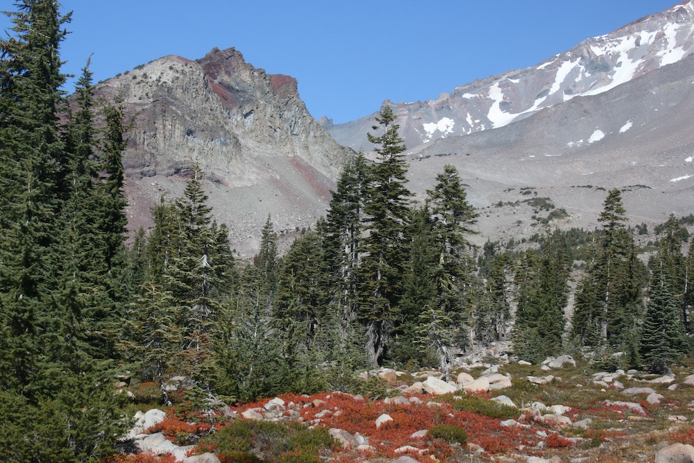 Upper Panther Meadow, Mt. Shasta