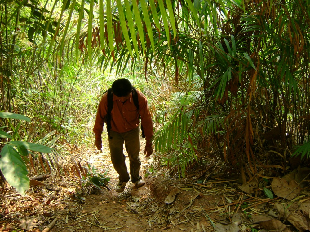 Nam Ha National Protected Area