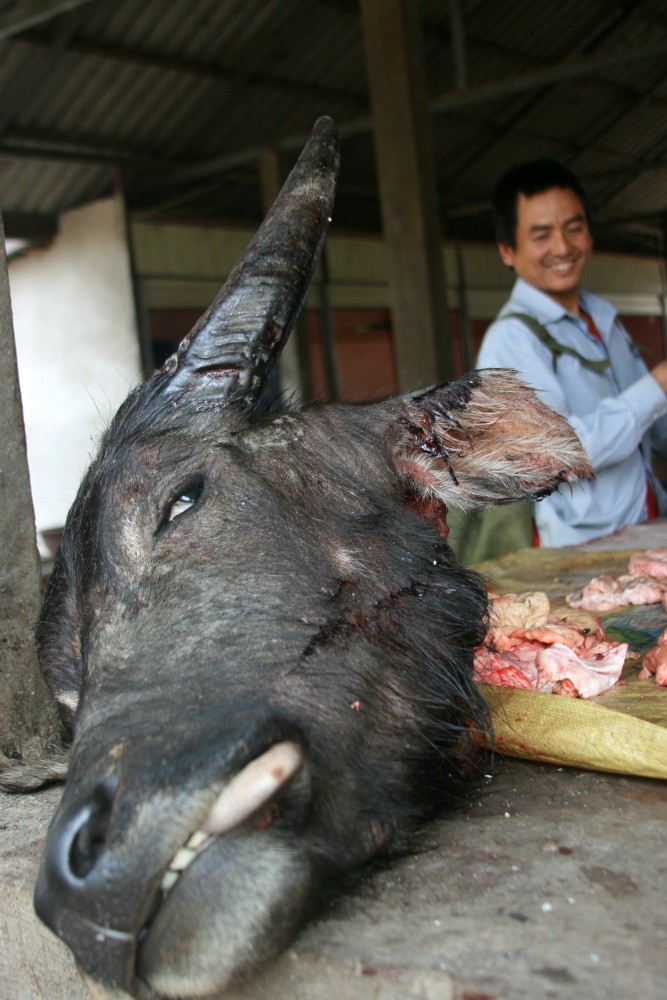 Meat market, Muang Sing