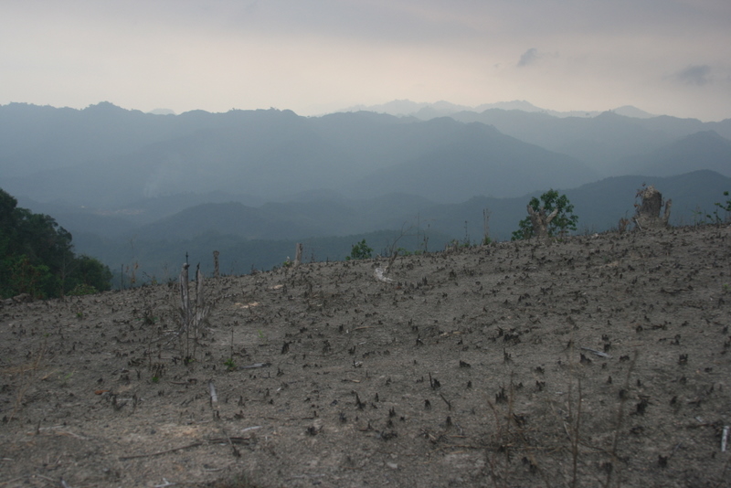 Post-burn, Vieng Xai