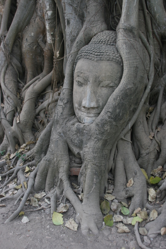 Sandstone Buddha head, Ayutthaya