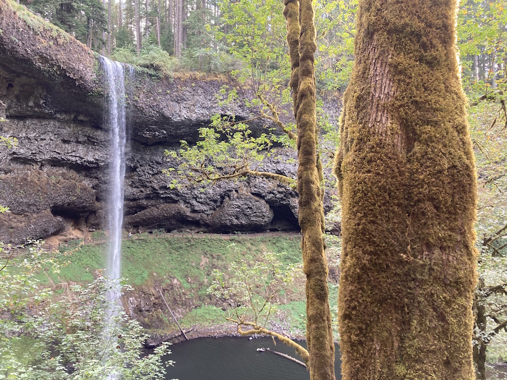 Silver Falls State Park