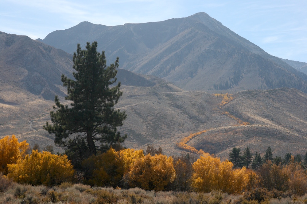 Highway 395