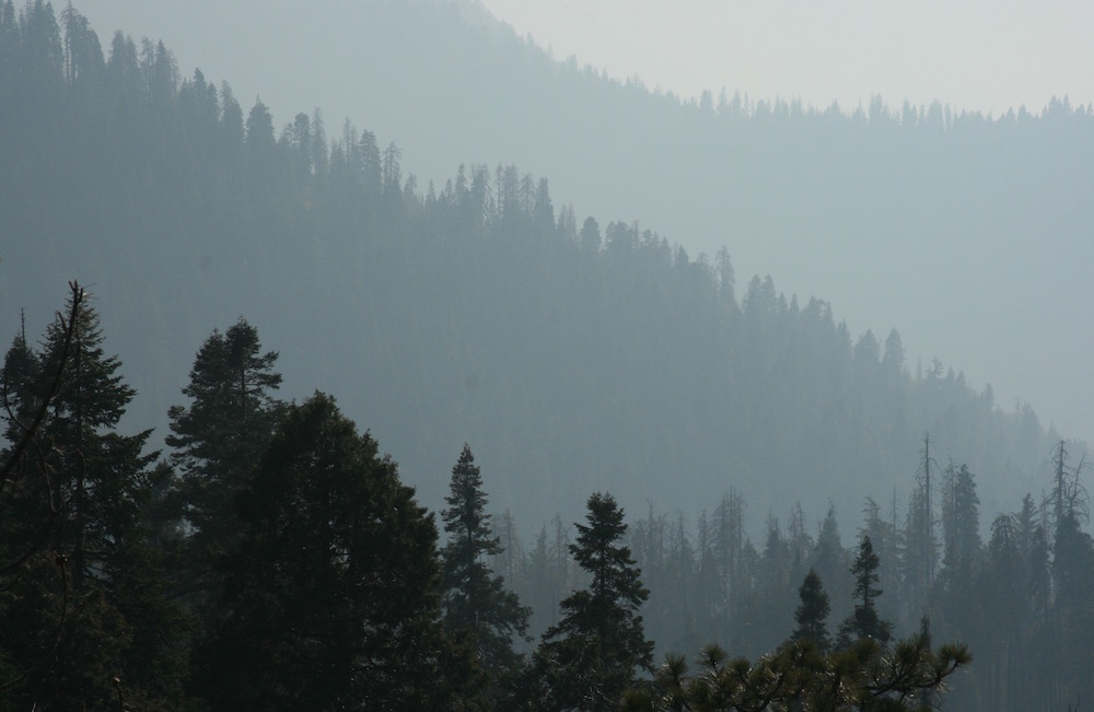 Sequoia National Park