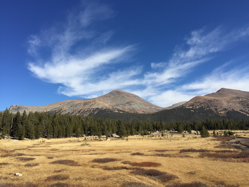 Tuolumne Meadows, Yosemite National Park