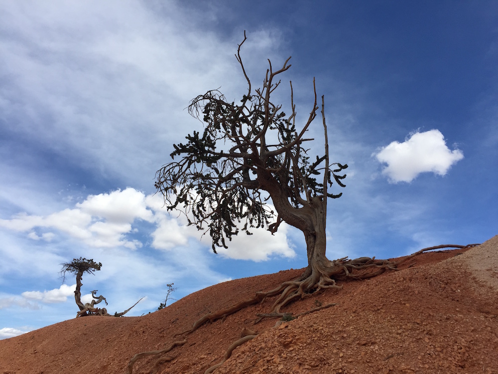 Bryce Canyon National Park