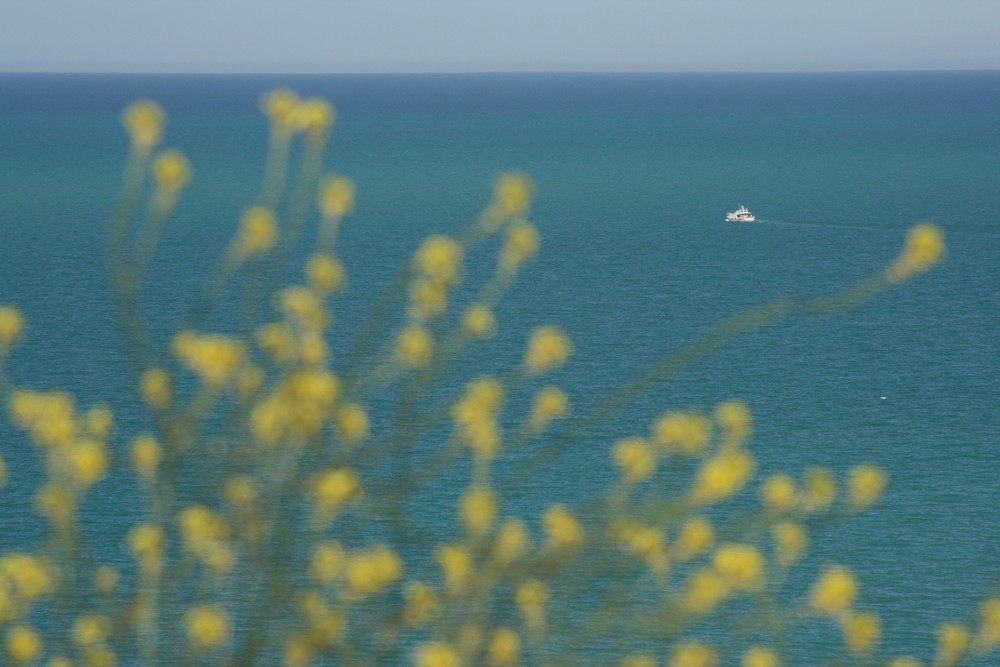 Sidi Bou Said