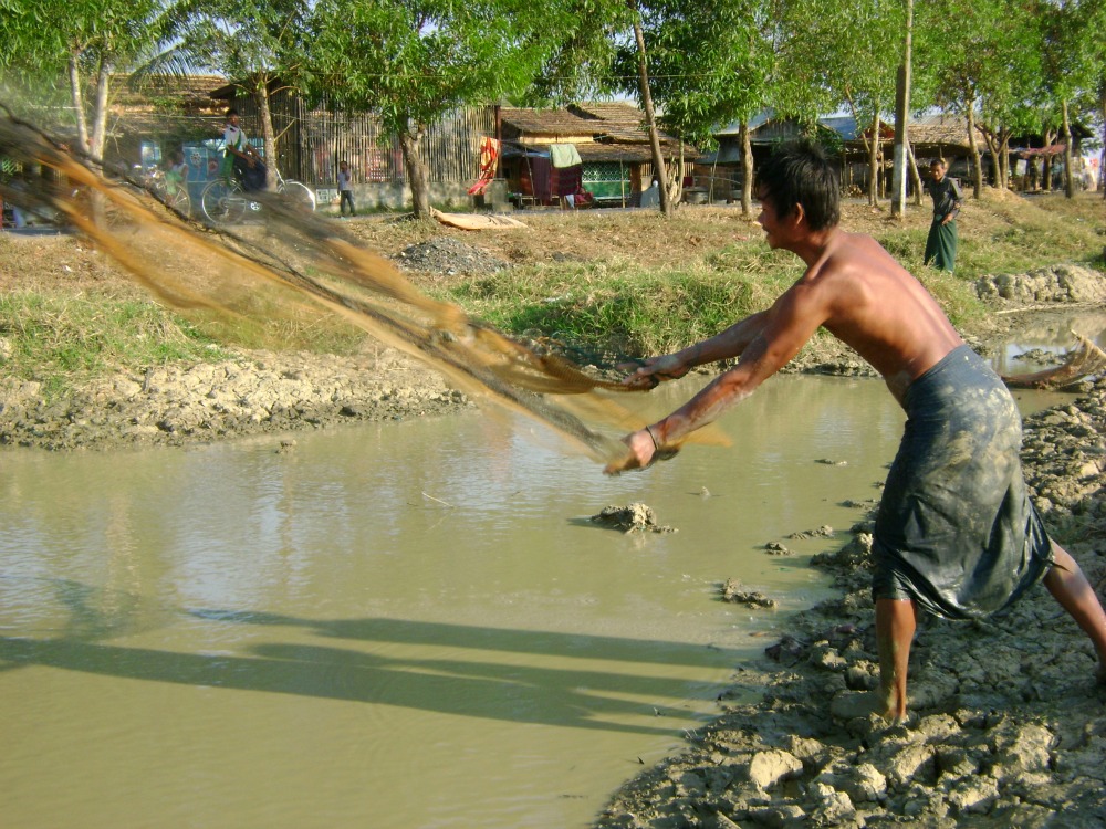 Fisherman, Dalah